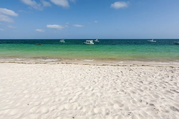 Beautiful  Beach Kenya — Stock Photo, Image