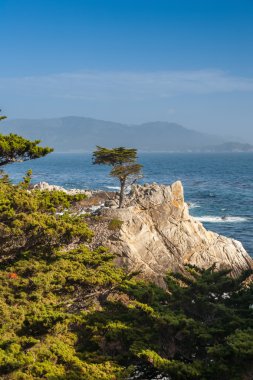 Island Coastline, Santa Cruz Island, California clipart