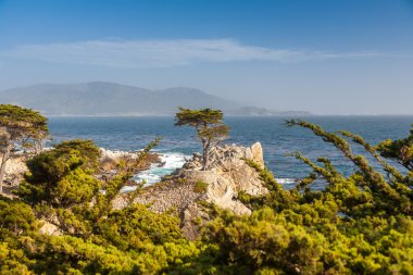 Island Coastline, Santa Cruz Island, California clipart