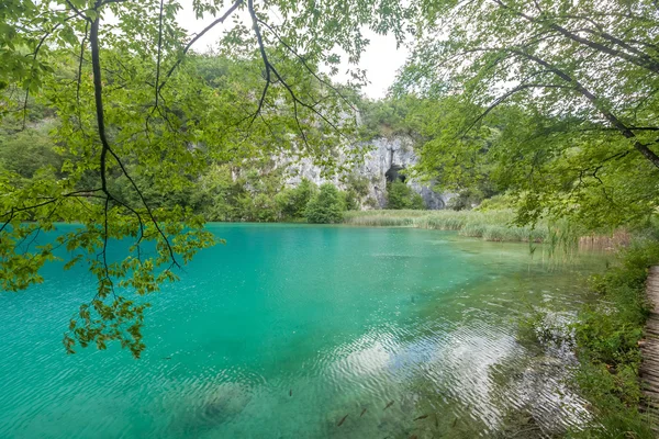 Lacs Plitvice Croatie Parc National Automne — Photo