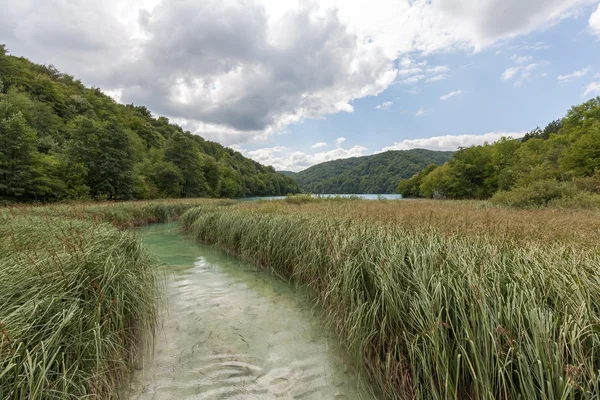 Lacs Plitvice Croatie Parc National Automne — Photo