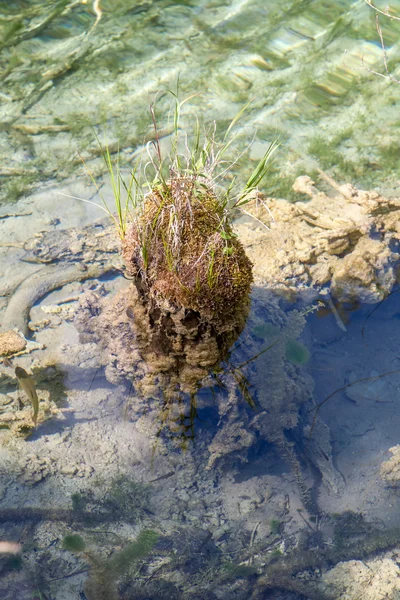 Plitvicesjöarna Kroatien — Stockfoto