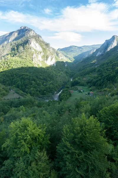 Monténégro. Montagnes . — Photo