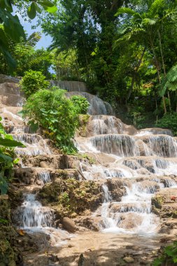 Jamaika. Dunnlar River Falls.
