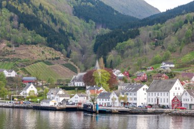 Dağlar ile manzara. Norveç fiyortları köyde