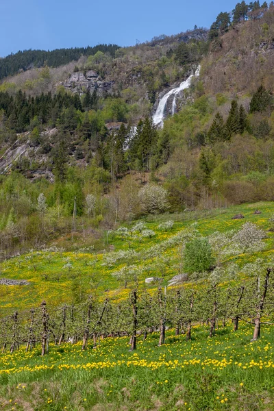 Wasserfall in Norwegen — Stockfoto