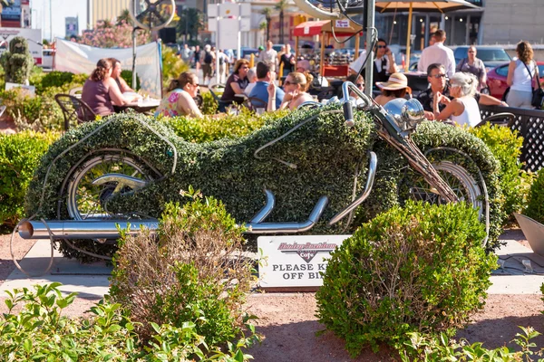 Las Vegas - Mayıs 14, 2008 Las Vegas 14 Harley Davidson kafede olabilir. 15 özel motosiklet Bisiklet Billy Joel, Elvis ve Ann-Margaret da dahil olmak üzere Cafe boyunca sergileniyor. — Stok fotoğraf