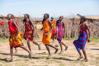 Geleneksel atlar kültürel töreni, Masai Mara Milli Parkı rezerv, yakın yerel halkın günlük yaşam Dergisi'nin 12 Şubat 2010 dans Masai Mara, Kenya, Afrika-Şubat 12 Masai savaşçıları