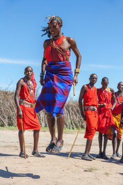 Geleneksel atlar kültürel töreni, Masai Mara Milli Parkı rezerv, yakın yerel halkın günlük yaşam Dergisi'nin 12 Şubat 2010 dans Masai Mara, Kenya, Afrika-Şubat 12 Masai savaşçıları