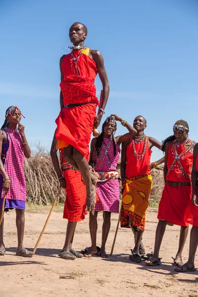 MASAI MARA, KENIA, ÁFRICA 12 DE FEB Guerreros masai bailando saltos tradicionales como ceremonia cultural, revisión de la vida cotidiana de la población local, cerca de la Reserva del Parque Nacional Masai Mara, 12 de febrero de 2010 — Foto de Stock