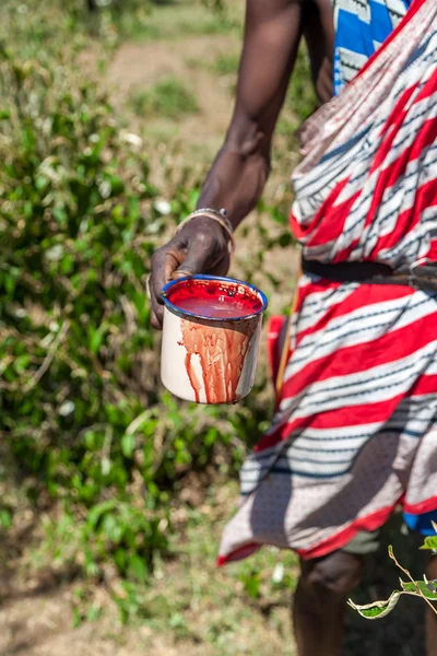 마 사이 마라, 케냐, 아프리카-2010 년 2 월 12 일 무 당 전통적인 옷에 암소 혈액의 컵 — 스톡 사진