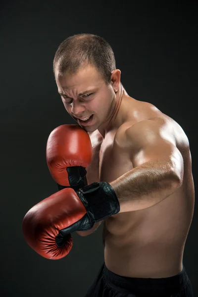 Jovem Boxeador Luvas Vermelhas Boxe Sobre Fundo Preto — Fotografia de Stock