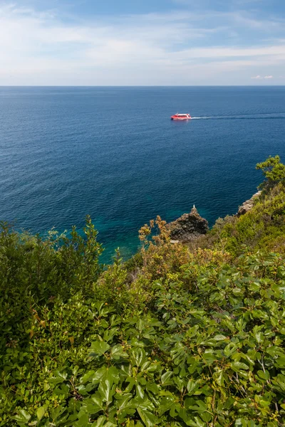 Island of Elba, sea and rocks — Stock Photo, Image