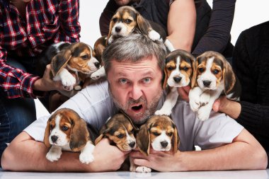 Adam ve beagle yavru büyük grup