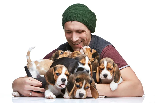 L'homme et le grand groupe d'un beagle chiots — Photo