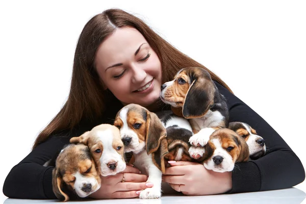 A mulher e o grande grupo de cachorros de um beagle — Fotografia de Stock