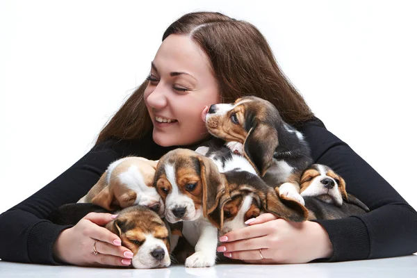 Kadın ve beagle yavru büyük grup — Stok fotoğraf