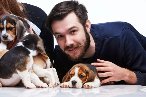 O homem, a mulher e o grande grupo de cachorros de um beagle — Fotografia de Stock