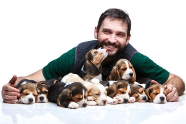 Adam ve beagle yavru büyük grup