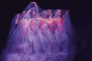 sensual and emotional dance of beautiful ballerina through the veil  clipart