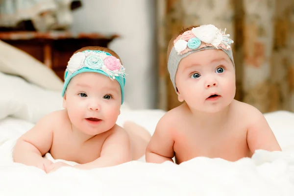 Two twin babies, girls in nice headbands — Stock Photo, Image