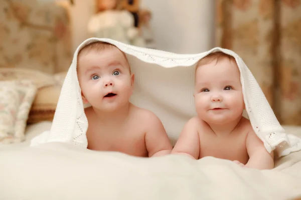 Two twin babies, girls Stock Photo