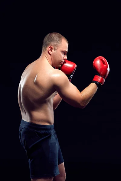 Genç boksör boks — Stok fotoğraf