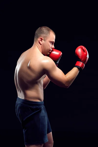 Boksing med unge bokser – stockfoto