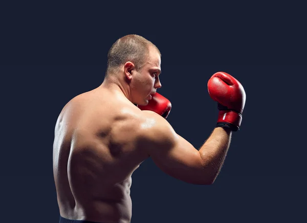 Young Boxer boxing — Stock Photo, Image