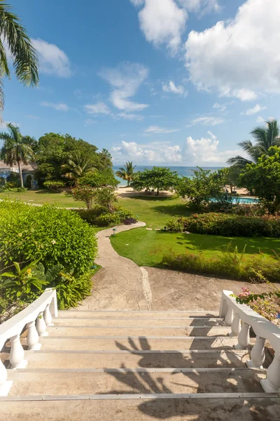 Tropical garden with flowers and road to beach — Stock Photo, Image