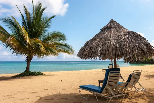 Solarium och paraply på en tropisk strand — Stockfoto