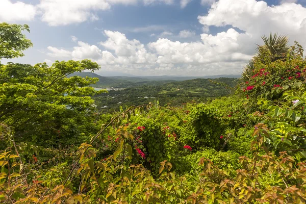 Caribisch strand op de noordelijke kust van jamaica — Stockfoto