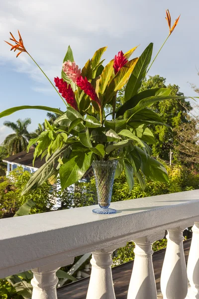 Beautiful tropical red ginger flowers — Stock Photo, Image