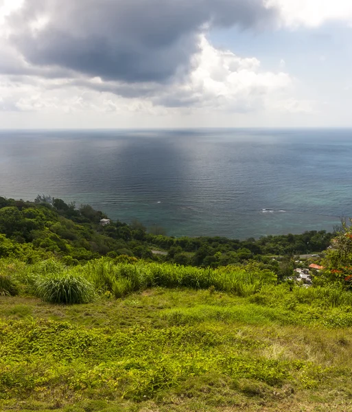 Caribbean beach on the northern coast of Jamaica — Stock Image Caribbean beach on the northern coast of Jamaica Royalty Free Stock Images