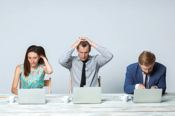 Oso en el bosquezakelijke team dat werkt op hun zakelijk project samen op kantoor — Stockfoto