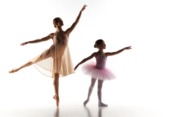 The little ballerina dancing with personal ballet teacher in dance studio — Zdjęcie stockowe