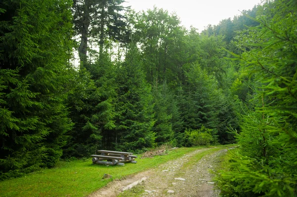 Krásné borovice na horách — Stock fotografie