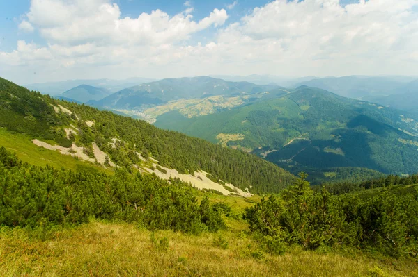 Beautiful meadows on  mountains — Stock Photo, Image