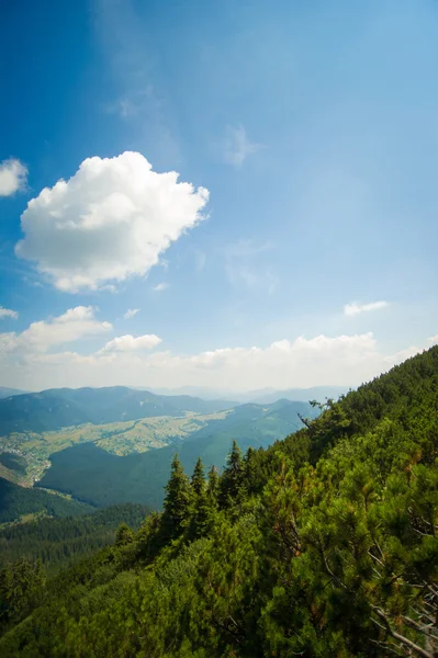 Beautiful meadows on  mountains — Stock Photo, Image