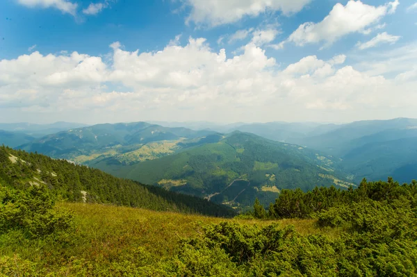 Bellissimi prati in montagna — Foto Stock