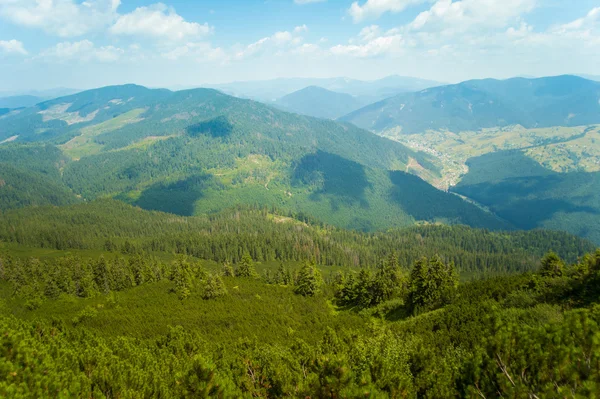 Beautiful meadows on  mountains — Stock Photo, Image