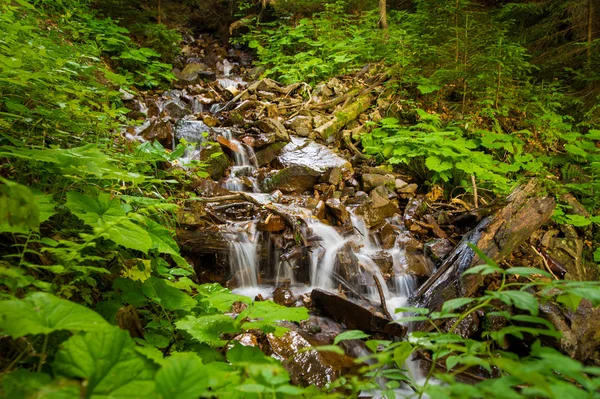 Krásné horské bystřiny na horách — Stock fotografie