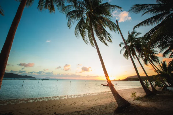 ดวงอาทิตย์ตกเหนือชายหาดเขตร้อน . — ภาพถ่ายสต็อก