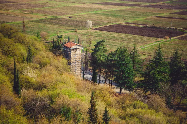 Kakheti  Alazany  Valley — Stock Photo, Image