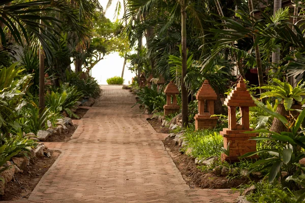 Tropical garden and  the road to sea beach — Stock Photo, Image