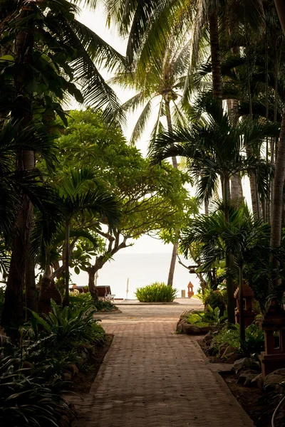 Tropical Garden Palm Trees Overlooking Sea Blue Sky — Stock Photo, Image