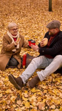 Yaşlı anne ve oğlu sonbahar pikniğinde kahve fincanı kızartıyorlar. Maliye, sağlık ve yaşam tarzı kampanyaları için nesiller arası arkadaşlık, bakım ve istikrar kavramı.