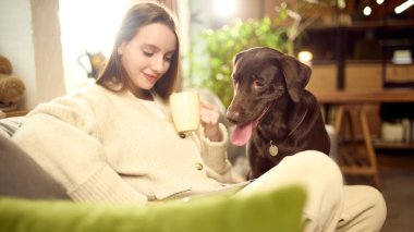 Sahibi akıllı telefon kullanırken köpek kanepede dinleniyor. Evcil hayvan dostu yaşam tarzı reklamcılığı, günlük ev hayatı, modern hayvan sahipliği, teknoloji kullanımı ve dijital yaşam dengesi kavramı.