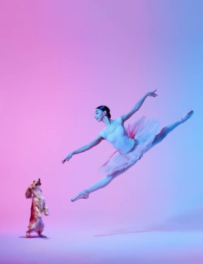 Renkli stüdyo kolajında küçük bir köpekle balerin atlaması. Hareket özgürlüğü kavramı, hareketli sağlıklı beden, yaratıcı görsel ilham ve duygusal yaşam tarzı..