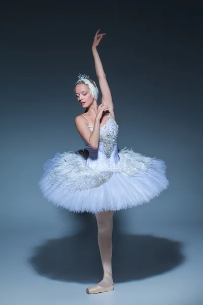 Retrato de la bailarina en tatu de ballet sobre fondo azul — Foto de Stock